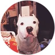 Jack Team Member